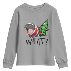 Funny Christmas Moo Deng Youth Sweatshirt What Baby Hippo Pushing Christmas Tree TS09 Sport Gray Print Your Wear