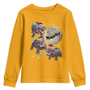 Funny Christmas Moo Deng Youth Sweatshirt Baby Hippo Santa Sleigh Galaxy Outer Space TS09 Gold Print Your Wear
