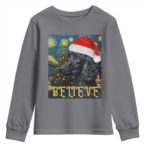 Funny Xmas Poodle Youth Sweatshirt Believe Christmas Starry Night Dog Lover TS09 Charcoal Print Your Wear