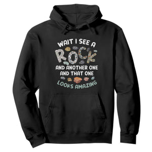 Rock Collector Hoodie Wait I See A Rock Geologist TS09 Black Print Your Wear