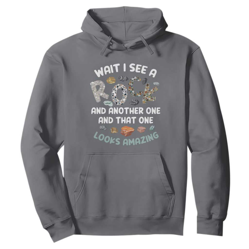 Rock Collector Hoodie Wait I See A Rock Geologist TS09 Charcoal Print Your Wear