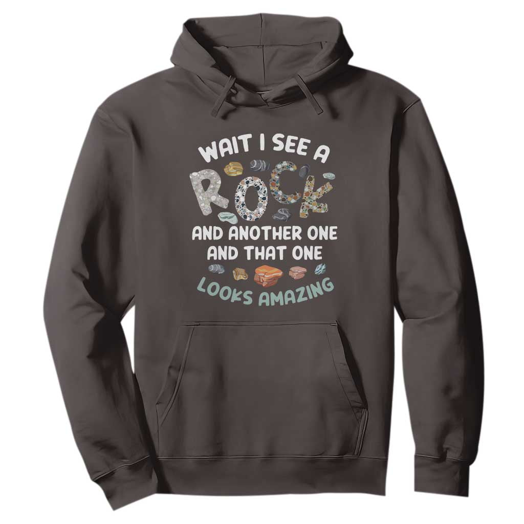 Rock Collector Hoodie Wait I See A Rock Geologist TS09 Dark Chocolate Print Your Wear