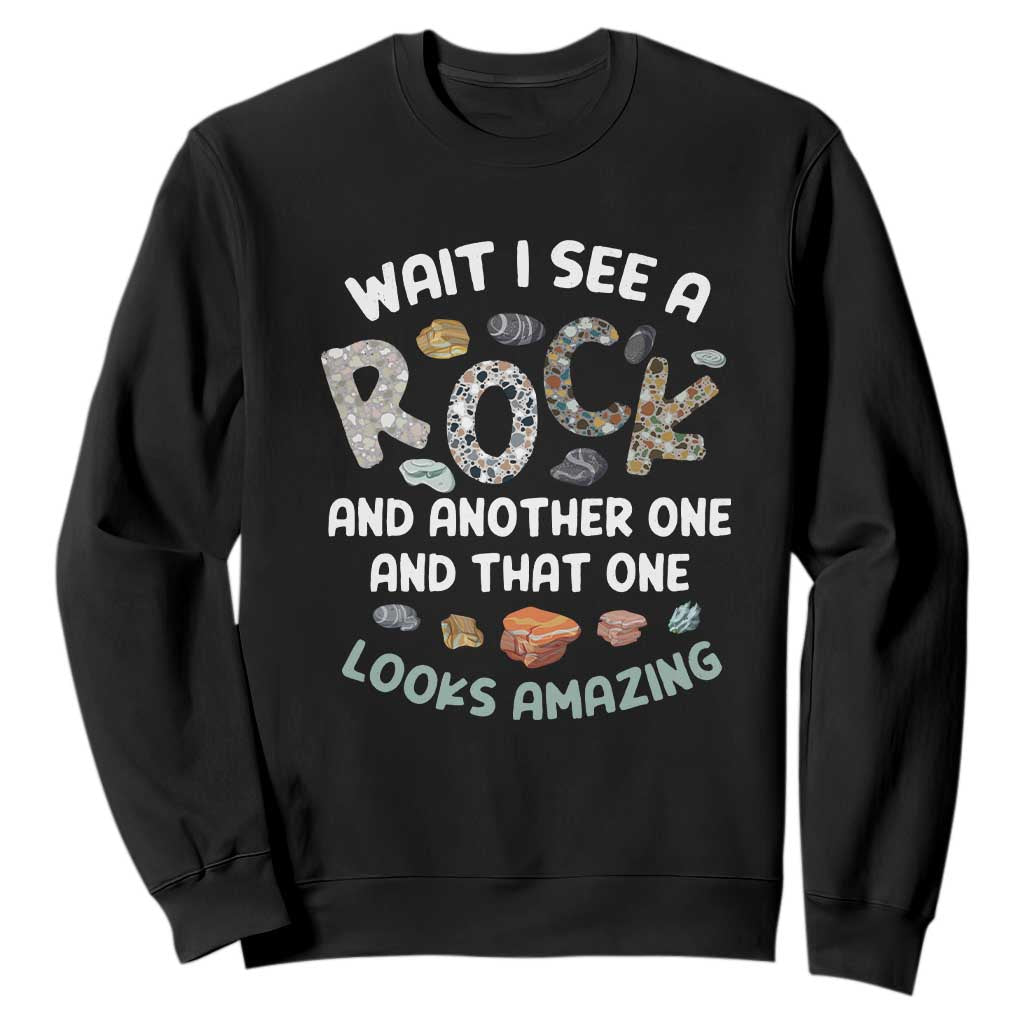 Rock Collector Sweatshirt Wait I See A Rock Geologist TS09 Black Print Your Wear