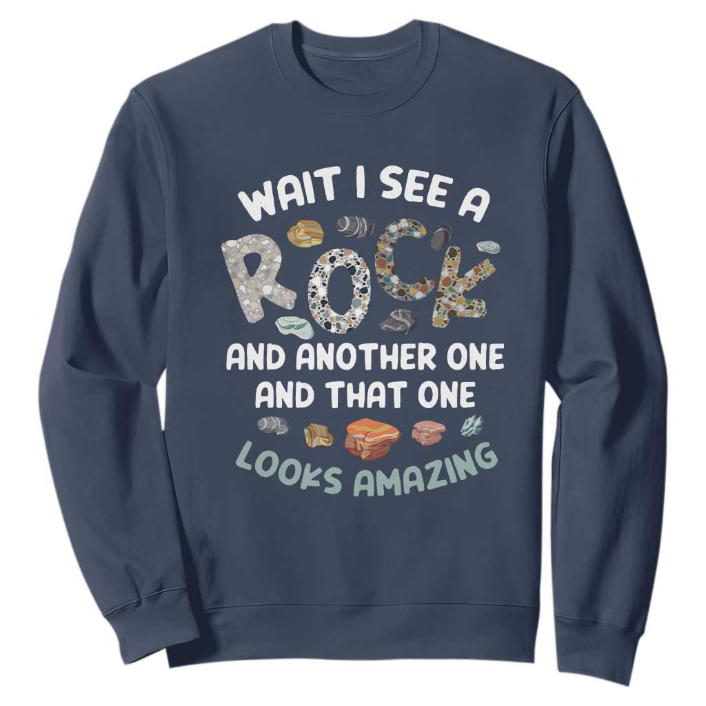 Rock Collector Sweatshirt Wait I See A Rock Geologist TS09 Navy Print Your Wear