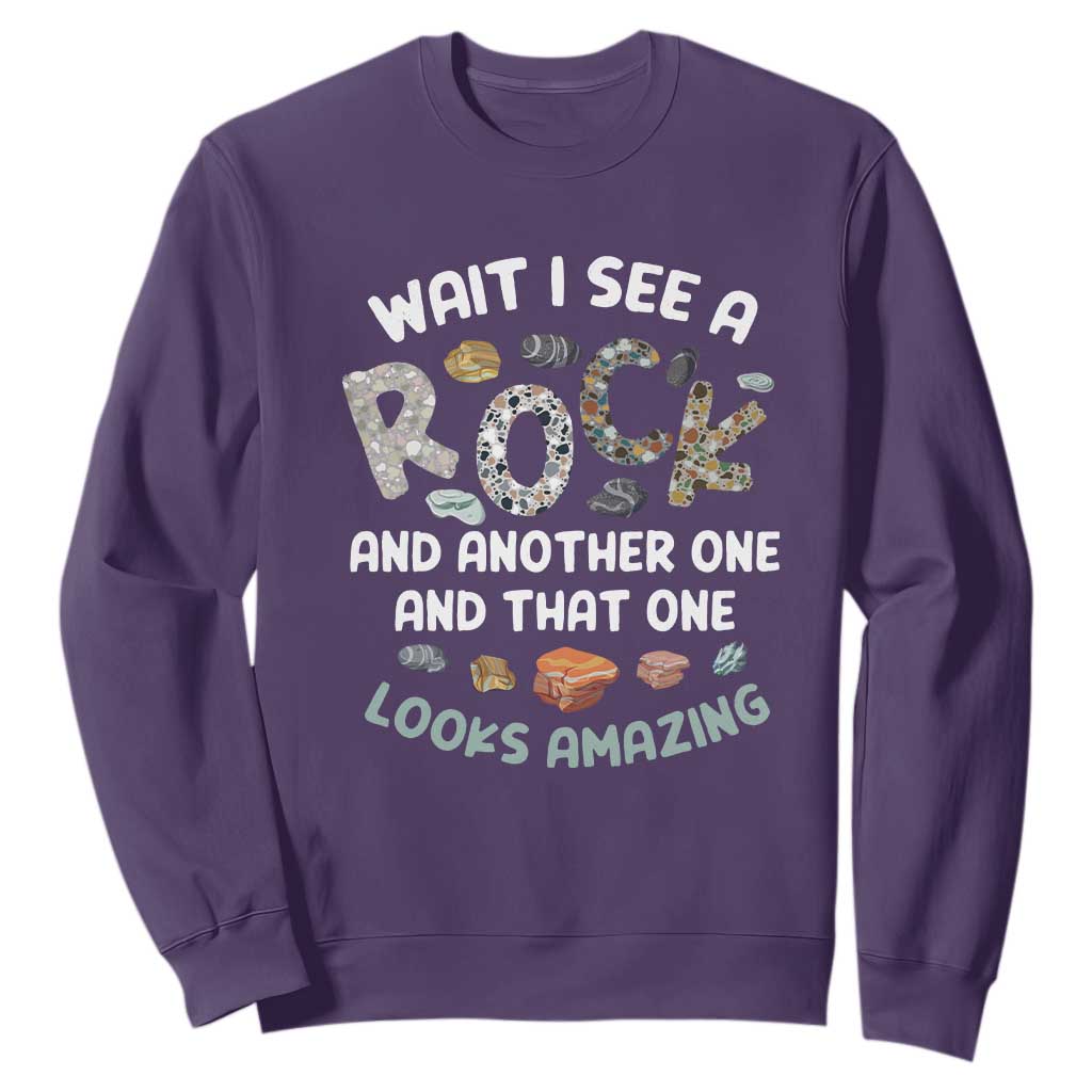 Rock Collector Sweatshirt Wait I See A Rock Geologist TS09 Purple Print Your Wear