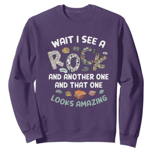 Rock Collector Sweatshirt Wait I See A Rock Geologist TS09 Purple Print Your Wear
