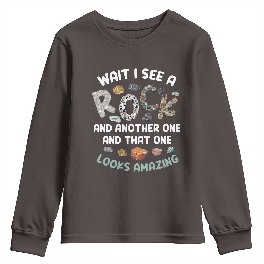 Rock Collector Youth Sweatshirt Wait I See A Rock Geologist TS09 Dark Chocolate Print Your Wear