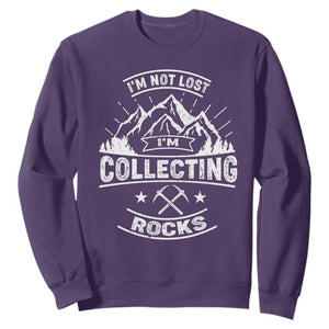 Rock Collector Sweatshirt I'm Not Lost I'm Collecting Rocks Geologist TS09 Purple Print Your Wear