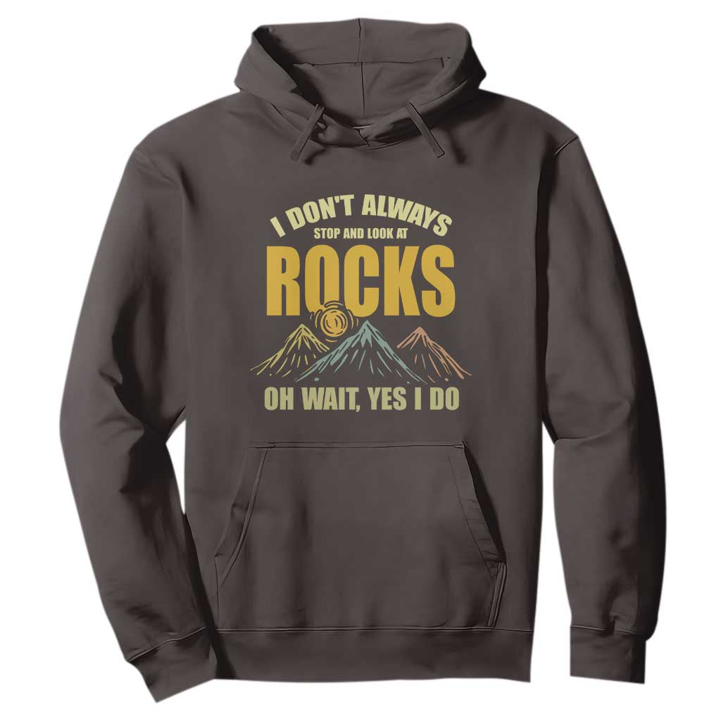 Geologist Hoodie I Don't Always Stop And Look At Rocks TS09 Dark Chocolate Print Your Wear