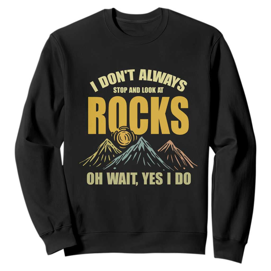 Geologist Sweatshirt I Don't Always Stop And Look At Rocks TS09 Black Print Your Wear