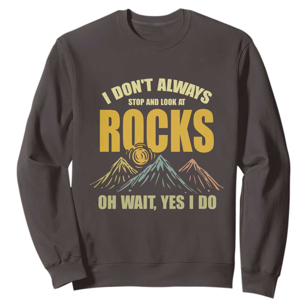Geologist Sweatshirt I Don't Always Stop And Look At Rocks TS09 Dark Chocolate Print Your Wear