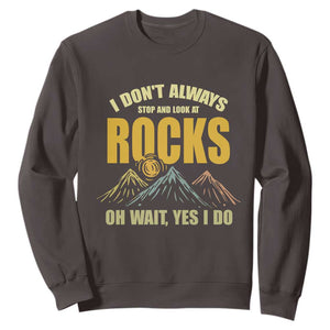 Geologist Sweatshirt I Don't Always Stop And Look At Rocks TS09 Dark Chocolate Print Your Wear
