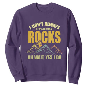 Geologist Sweatshirt I Don't Always Stop And Look At Rocks TS09 Purple Print Your Wear
