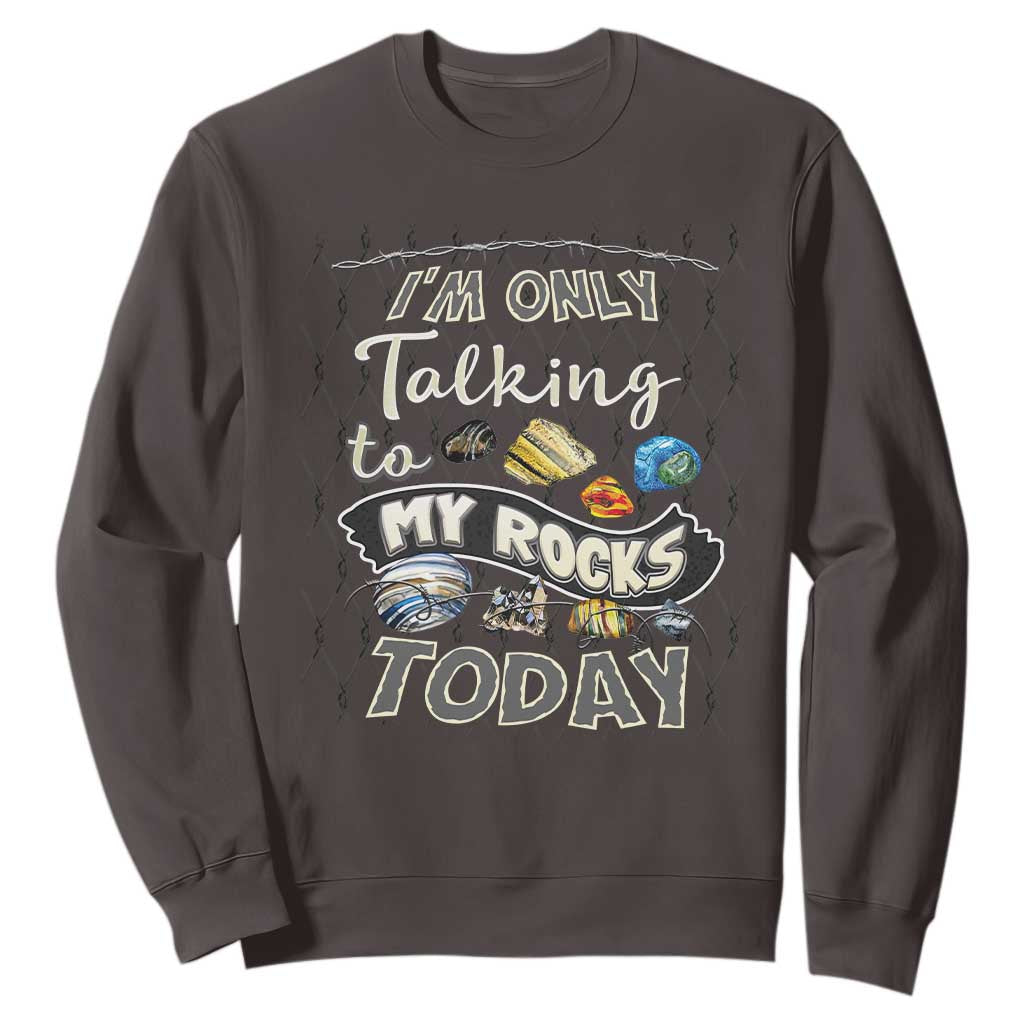 Geologist Sweatshirt I'm Only Taling To My Rocks Today TS09 Dark Chocolate Print Your Wear