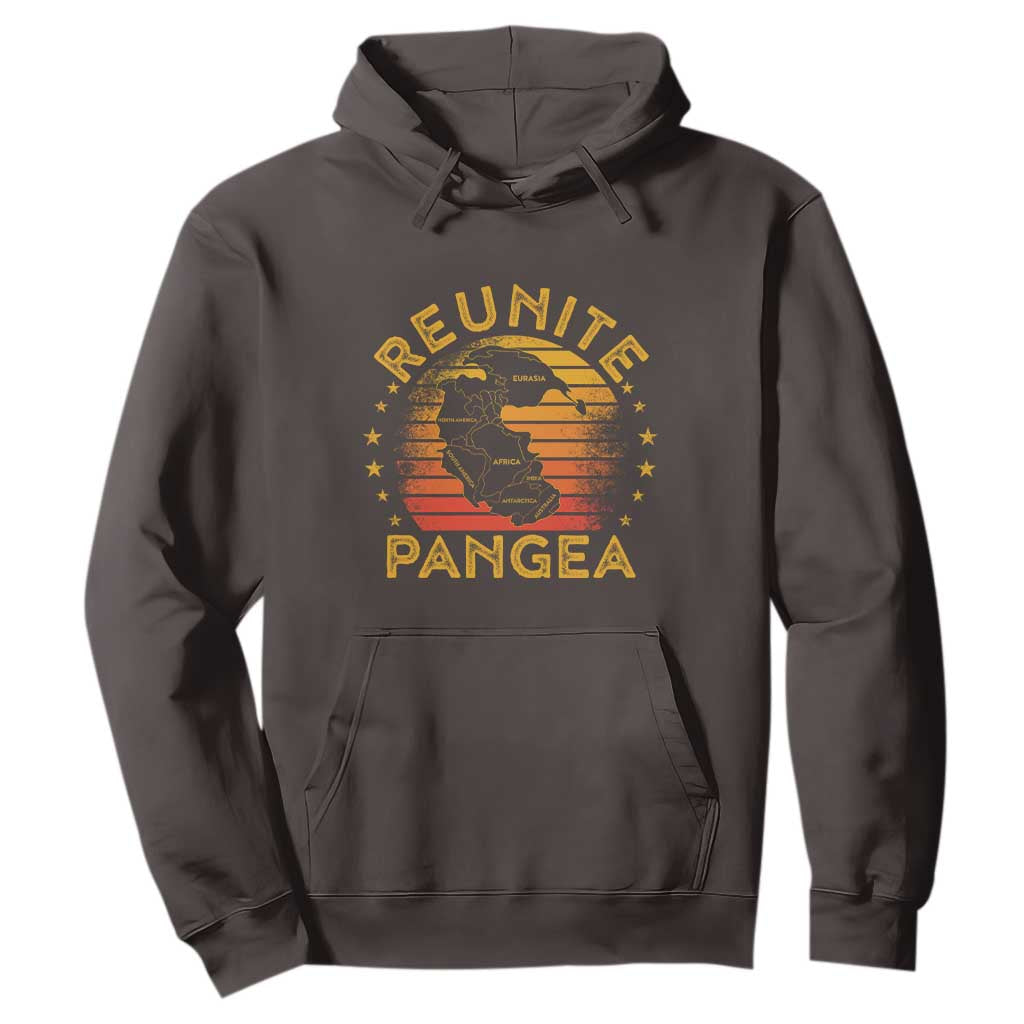 Funny Geologist Reunite Pangaea Hoodie TS09 Dark Chocolate Print Your Wear