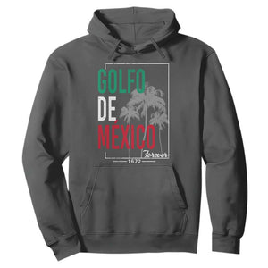 Golfo De Mexico Forever Hoodie Mexican Gulf Culture Heritage 1672 TS09 Dark Heather Print Your Wear