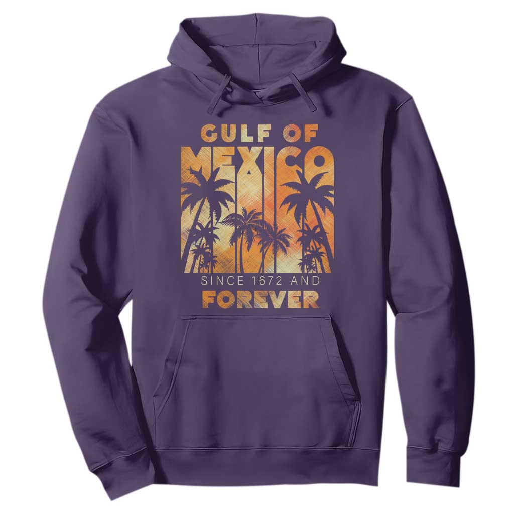 Gulf Of Mexico Hoodie Since 1672 And Forever TS09 Purple Print Your Wear