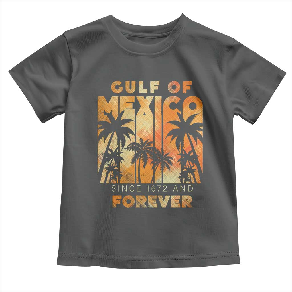 Gulf Of Mexico Toddler T Shirt Since 1672 And Forever TS09 Dark Heather Print Your Wear