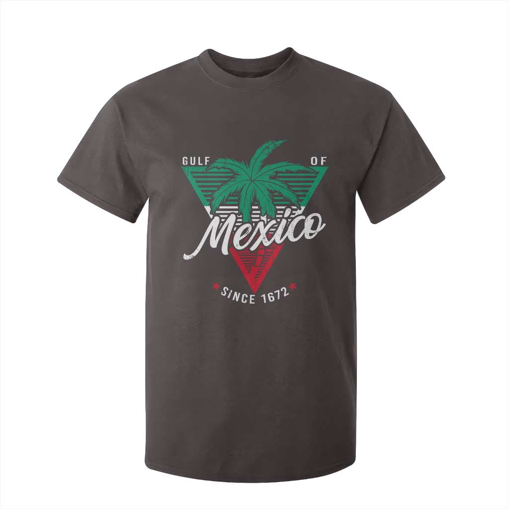 Gulf Of Mexico Since 1672 T Shirt For Kid TS09 Dark Chocolate Print Your Wear