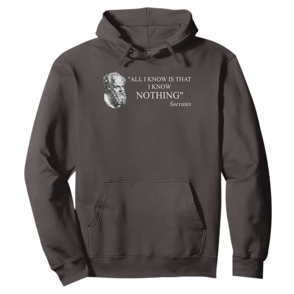 Greek Philosophy Socrates Hoodie All I Know Is That I Know Nothing TS09 Dark Chocolate Print Your Wear