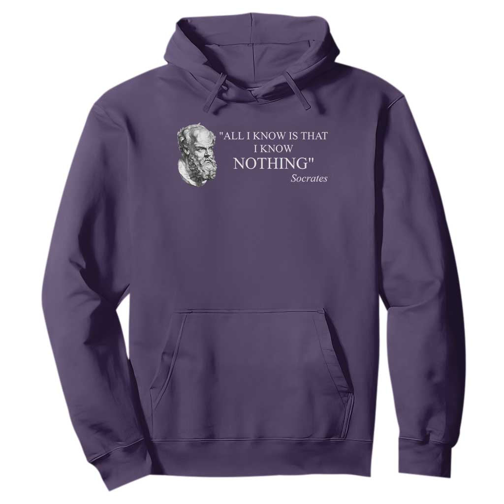 Greek Philosophy Socrates Hoodie All I Know Is That I Know Nothing TS09 Purple Print Your Wear