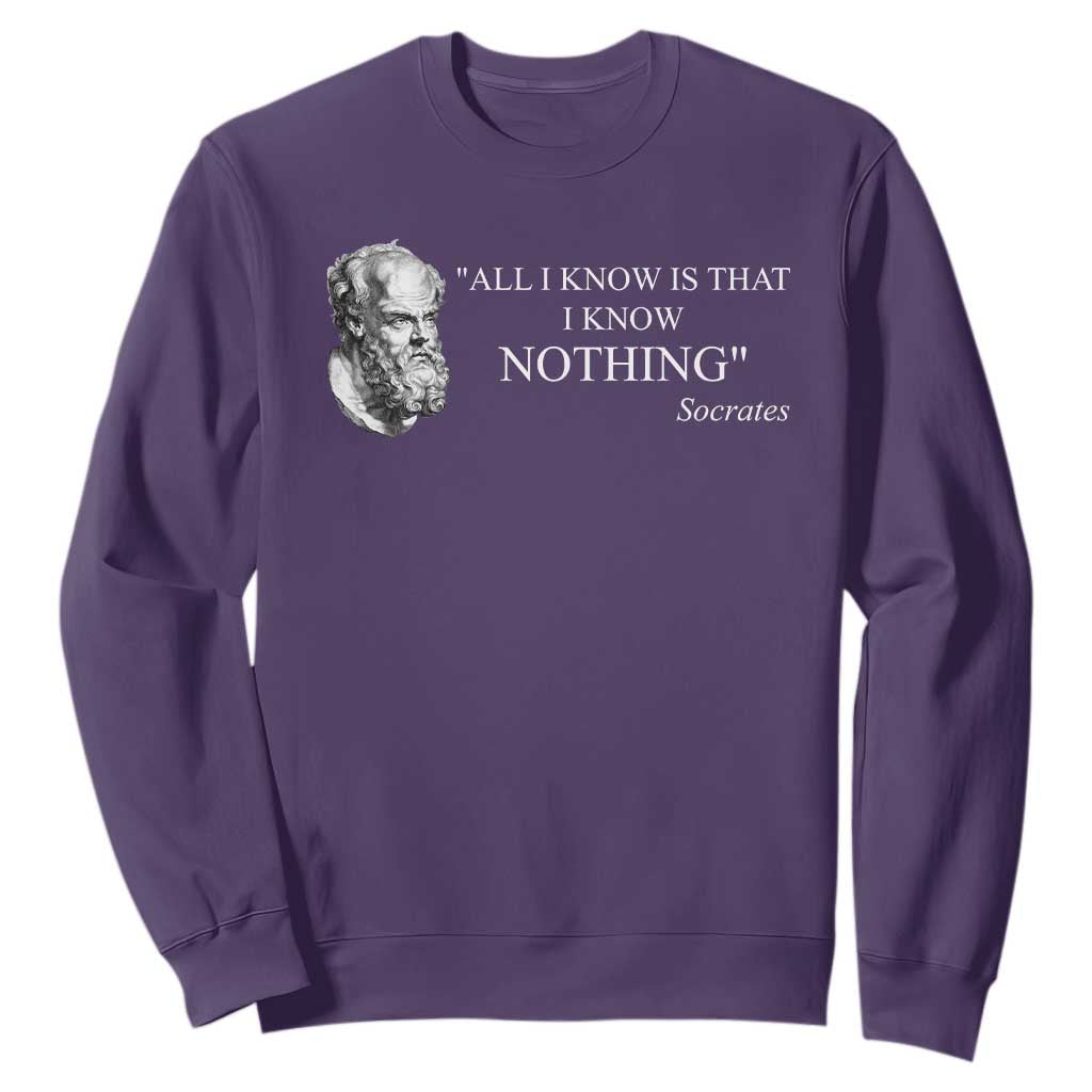 Greek Philosophy Socrates Sweatshirt All I Know Is That I Know Nothing TS09 Purple Print Your Wear