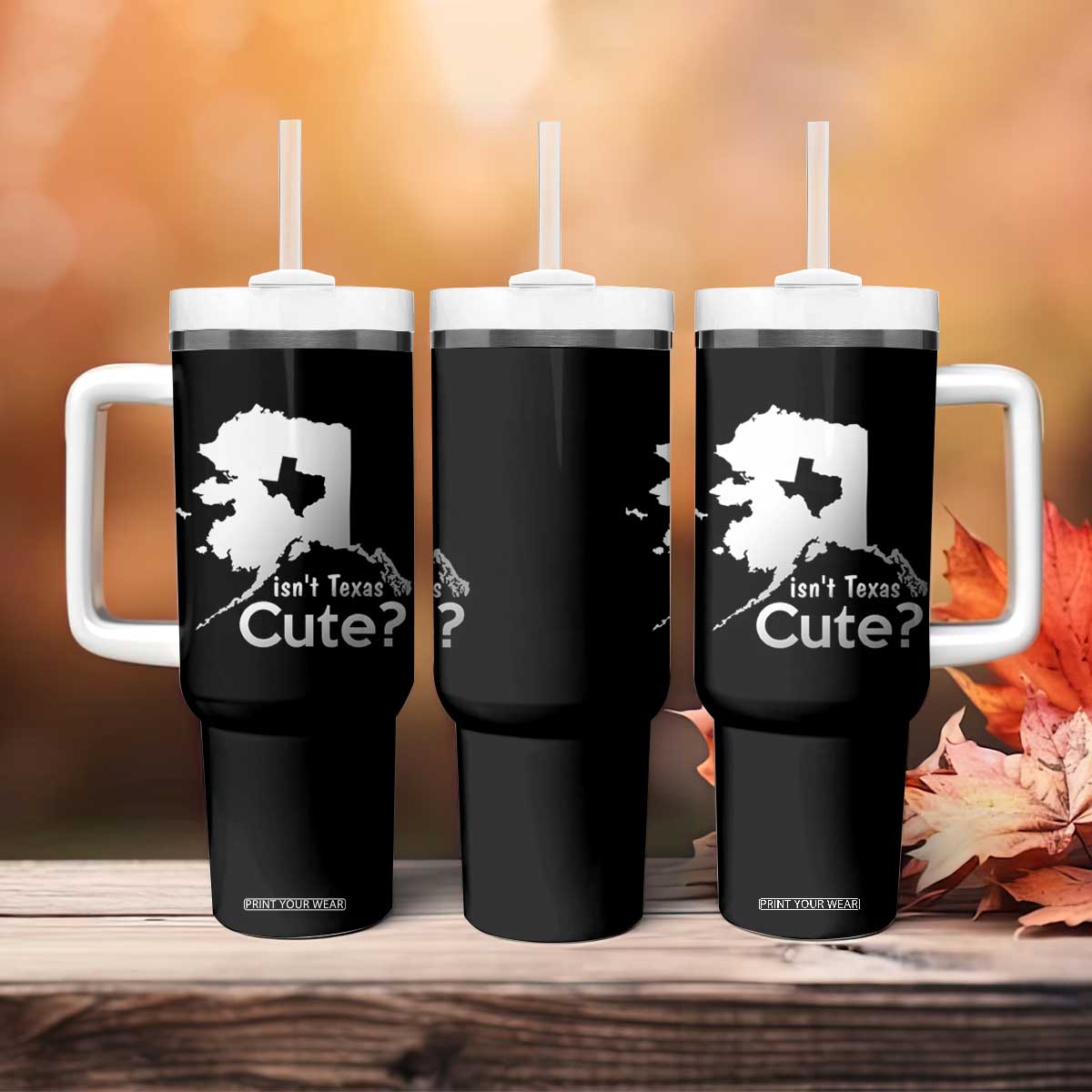 Funny Alaska Tumbler With Handle Isn't Texas Cute TS09 Print Your Wear