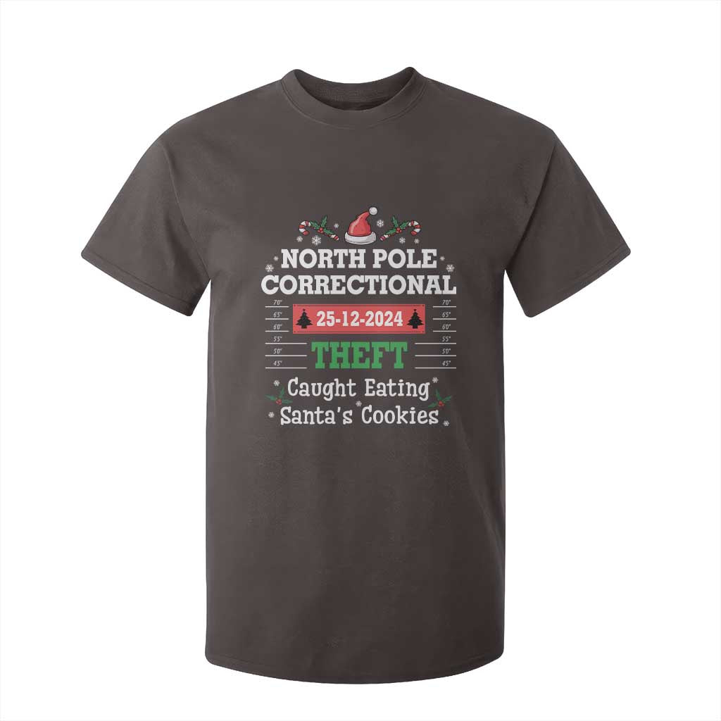 Funny Christmas Family Matching T Shirt For Kid North Pole Correctional Theft TS09 Dark Chocolate Print Your Wear