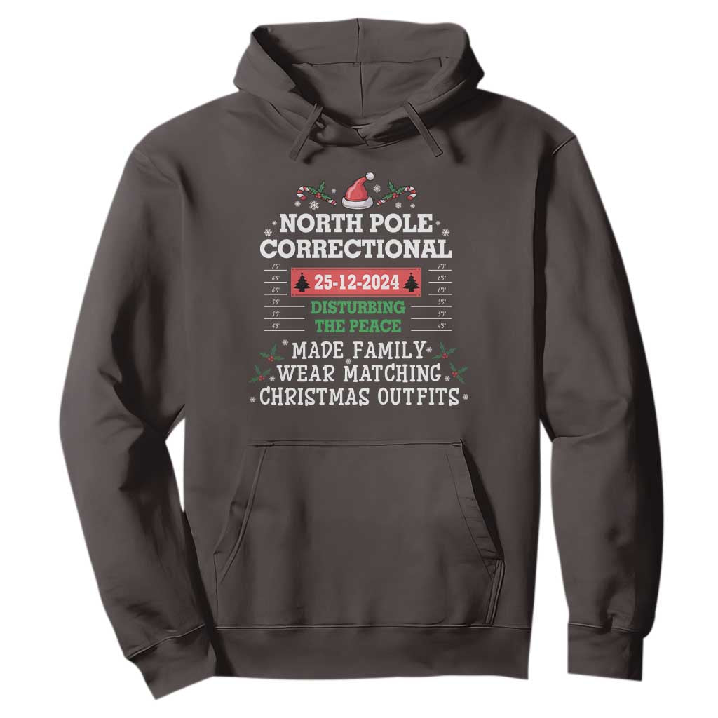 Funny Christmas Family Matching Hoodie North Pole Correctional Disturbing The Peace TS09 Dark Chocolate Print Your Wear