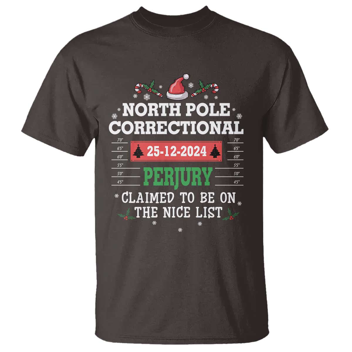 Funny Christmas Family Matching T Shirt North Pole Correctional Perjury TS09 Dark Chocolate Print Your Wear