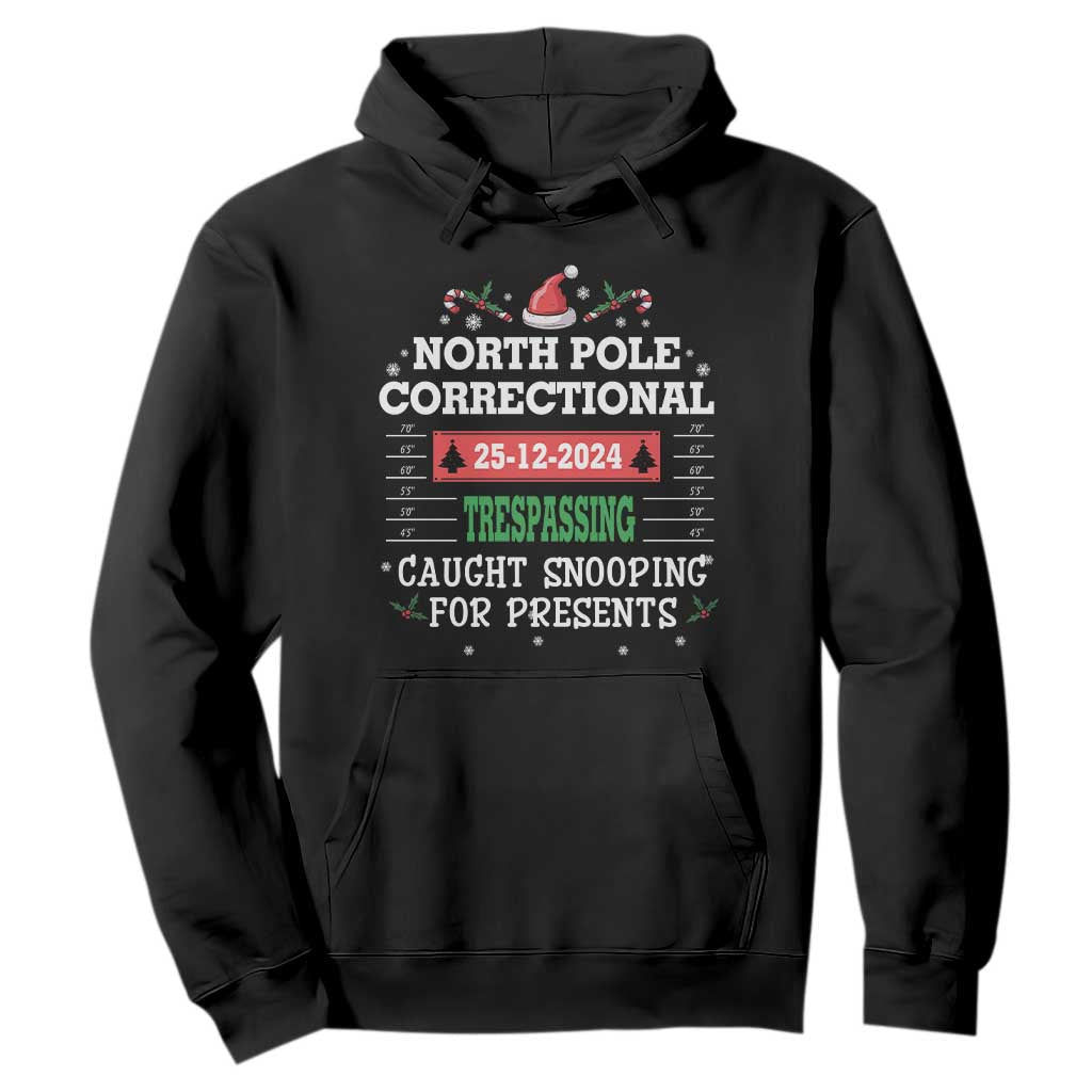 Funny Christmas Family Matching Hoodie North Pole Correctional Trespassing TS09 Black Print Your Wear