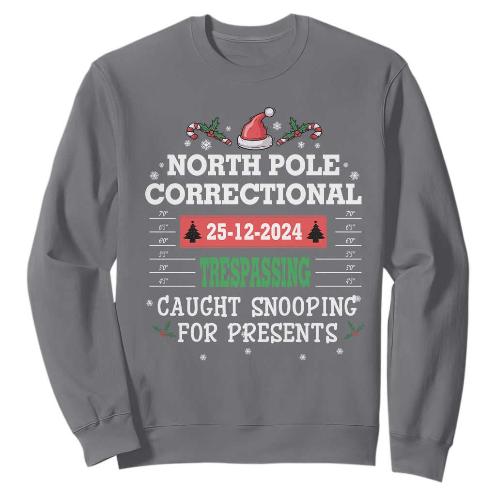 Funny Christmas Family Matching Sweatshirt North Pole Correctional Trespassing TS09 Charcoal Print Your Wear