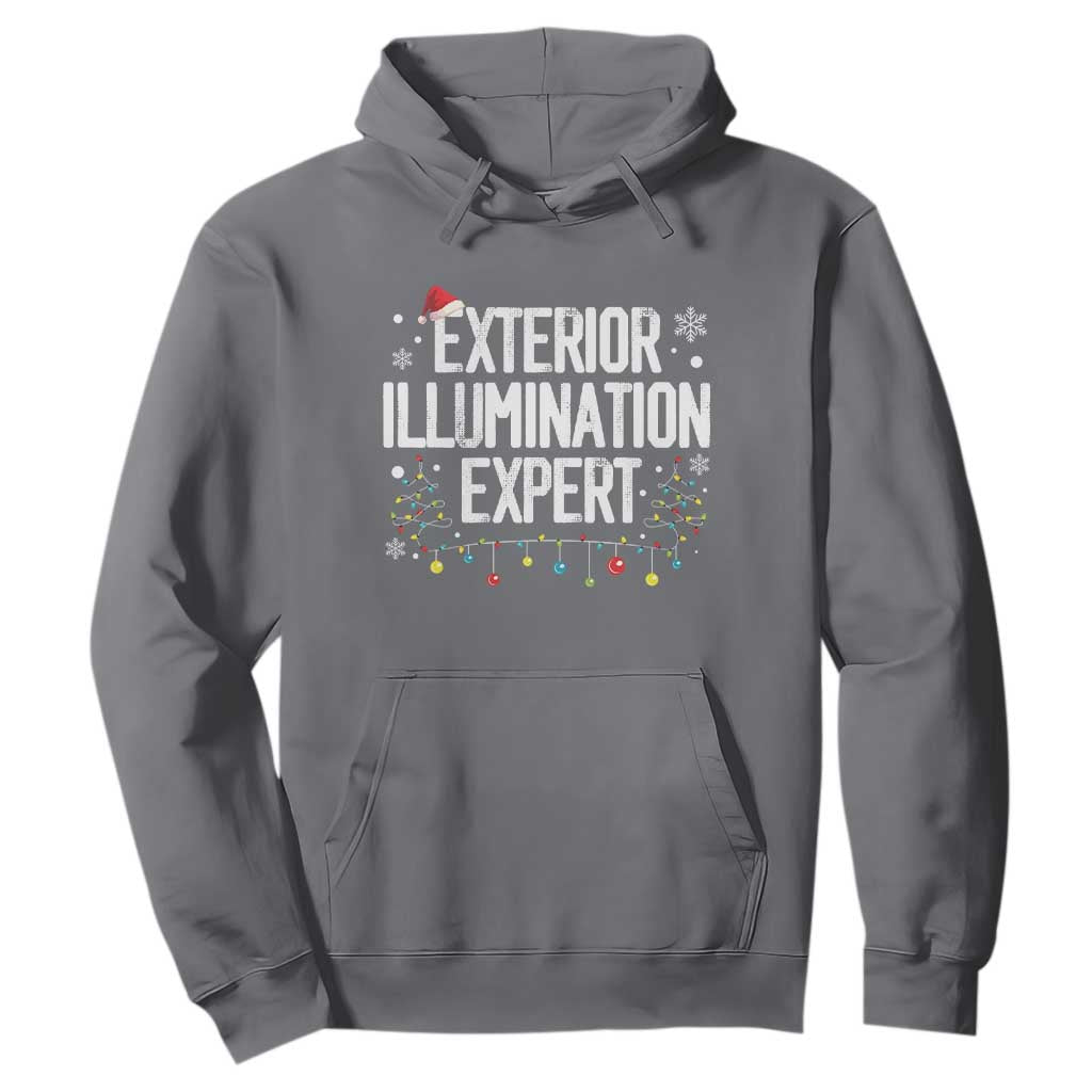Funny Christmas Hoodie Exterior Illumination Expert Christmas Lights TS09 Charcoal Print Your Wear