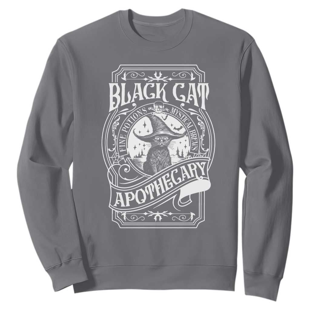 Black Cat Witch Sweatshirt Salem Apothecary Halloween TS09 Charcoal Print Your Wear
