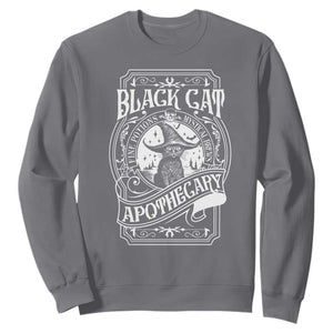 Black Cat Witch Sweatshirt Salem Apothecary Halloween TS09 Charcoal Print Your Wear