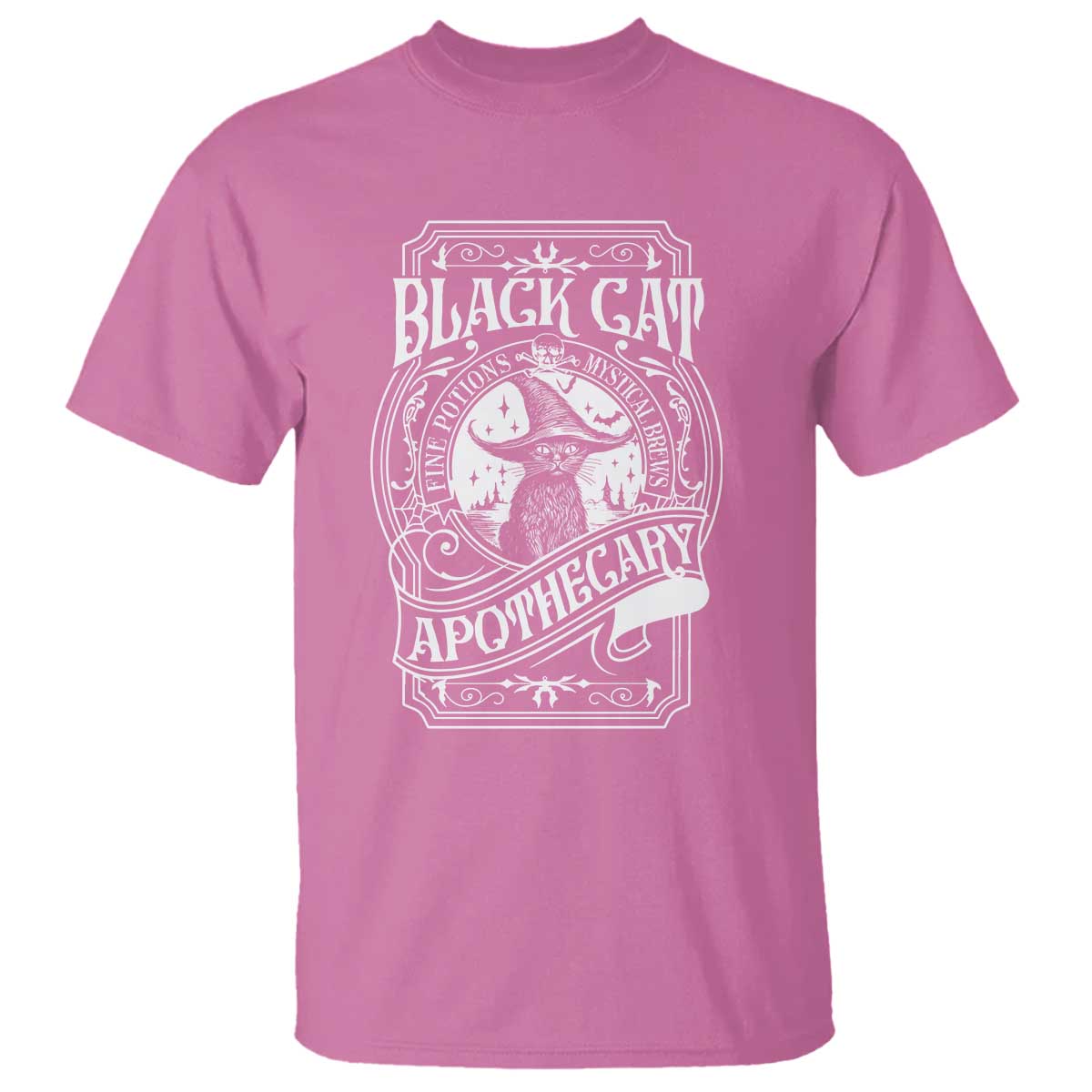 Black Cat Witch T Shirt Salem Apothecary Halloween TS09 Azalea Print Your Wear