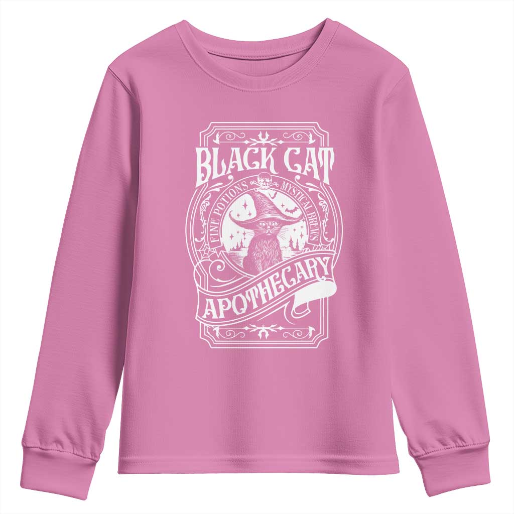 Black Cat Witch Youth Sweatshirt Salem Apothecary Halloween TS09 Azalea Print Your Wear