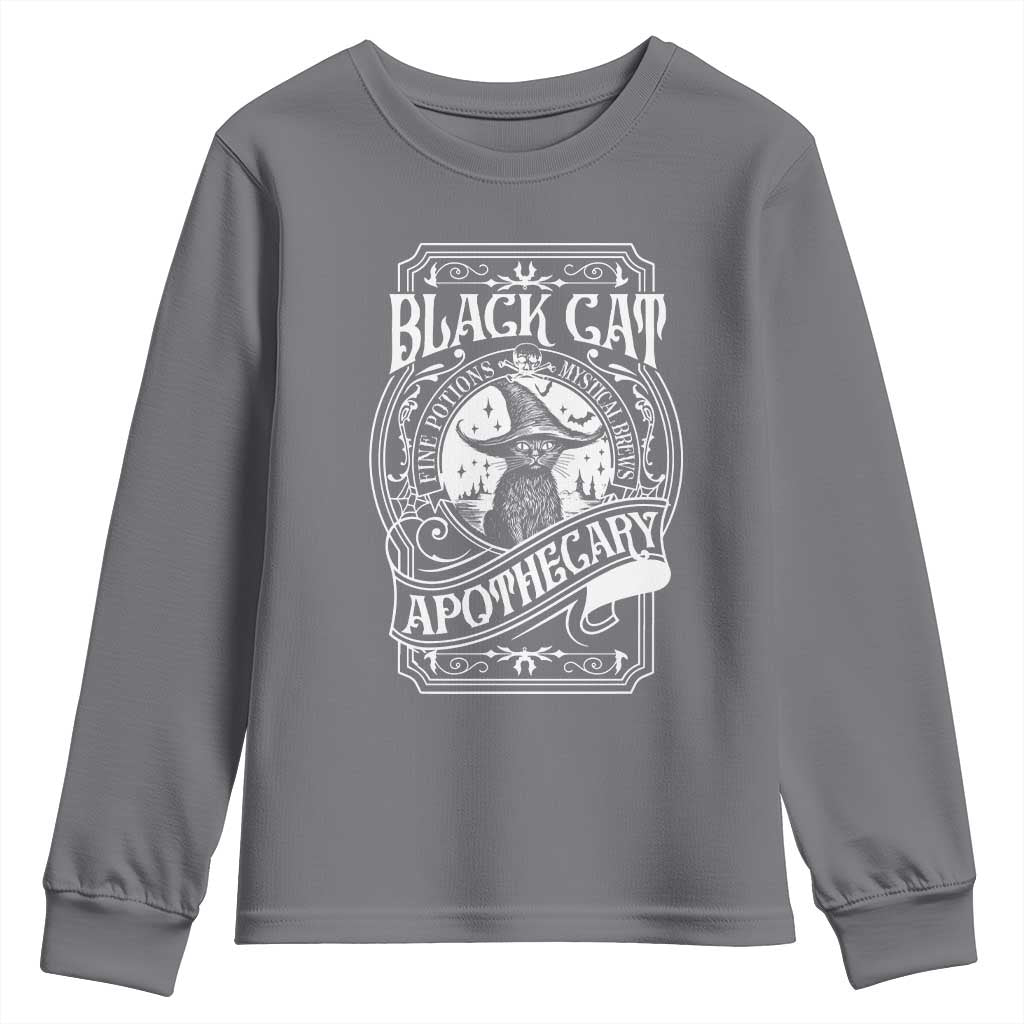 Black Cat Witch Youth Sweatshirt Salem Apothecary Halloween TS09 Charcoal Print Your Wear