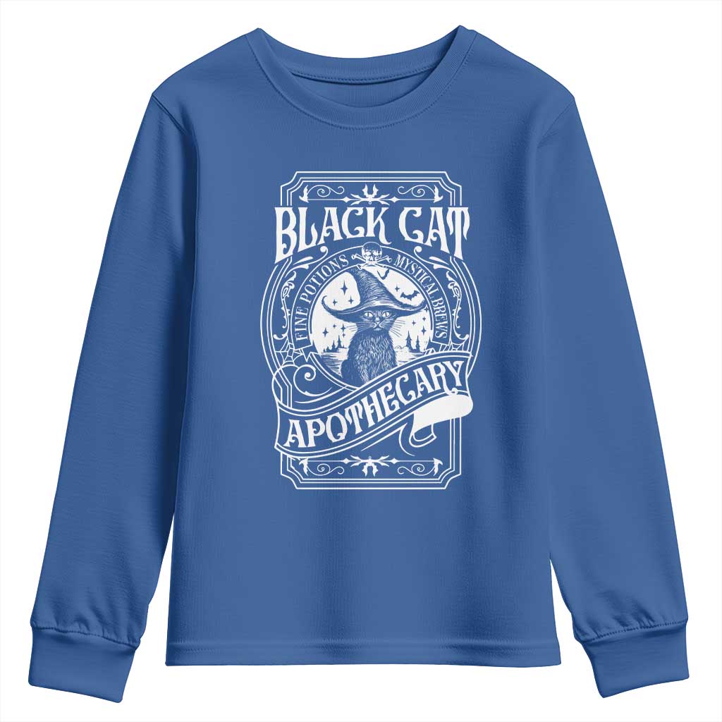 Black Cat Witch Youth Sweatshirt Salem Apothecary Halloween TS09 Royal Blue Print Your Wear
