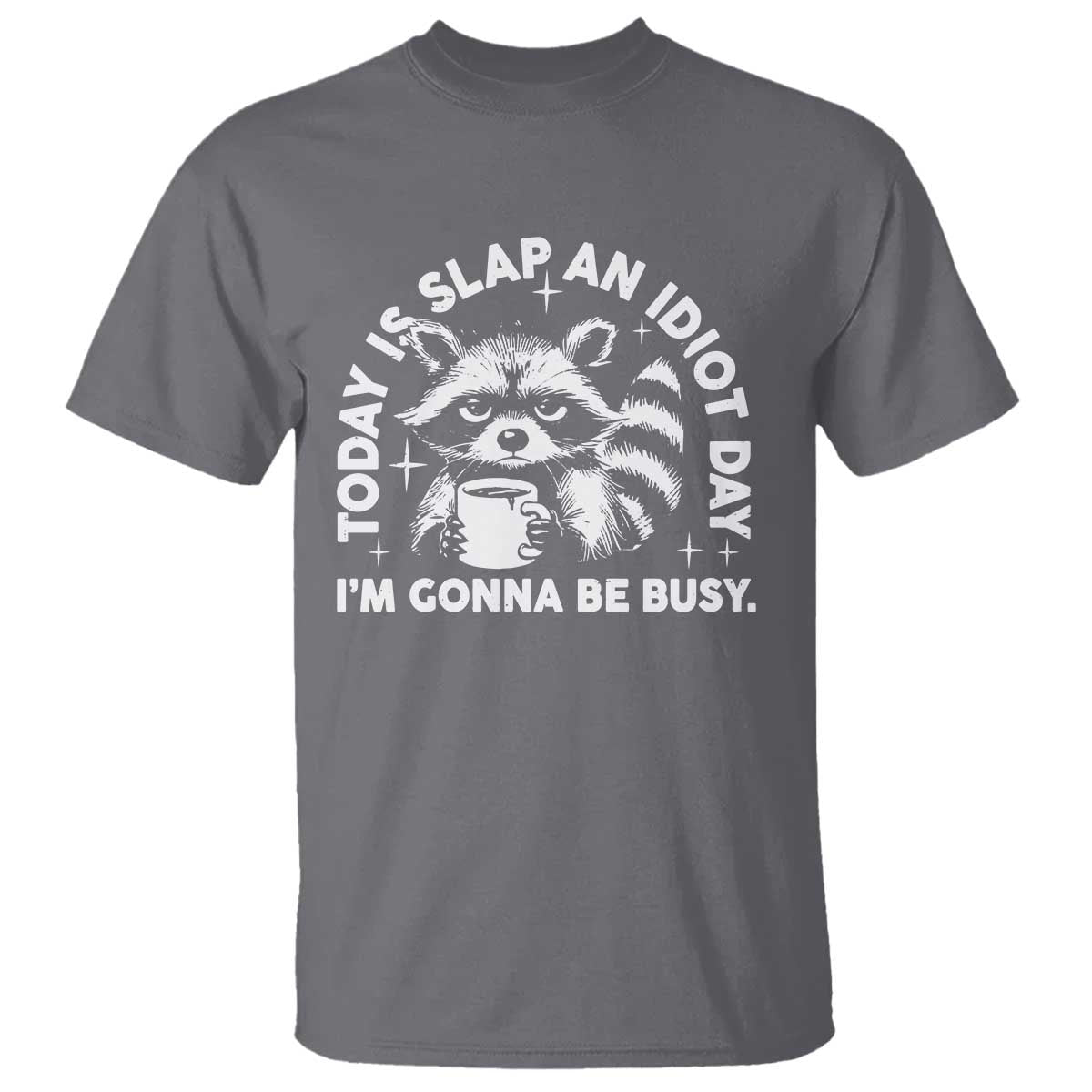 Funny Raccoon Today Is Slap An Idiot Day T Shirt TS09 Charcoal Print Your Wear