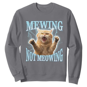 Funny Meme Cat Mewing Not Meowing Sweatshirt TS09 Charcoal Print Your Wear