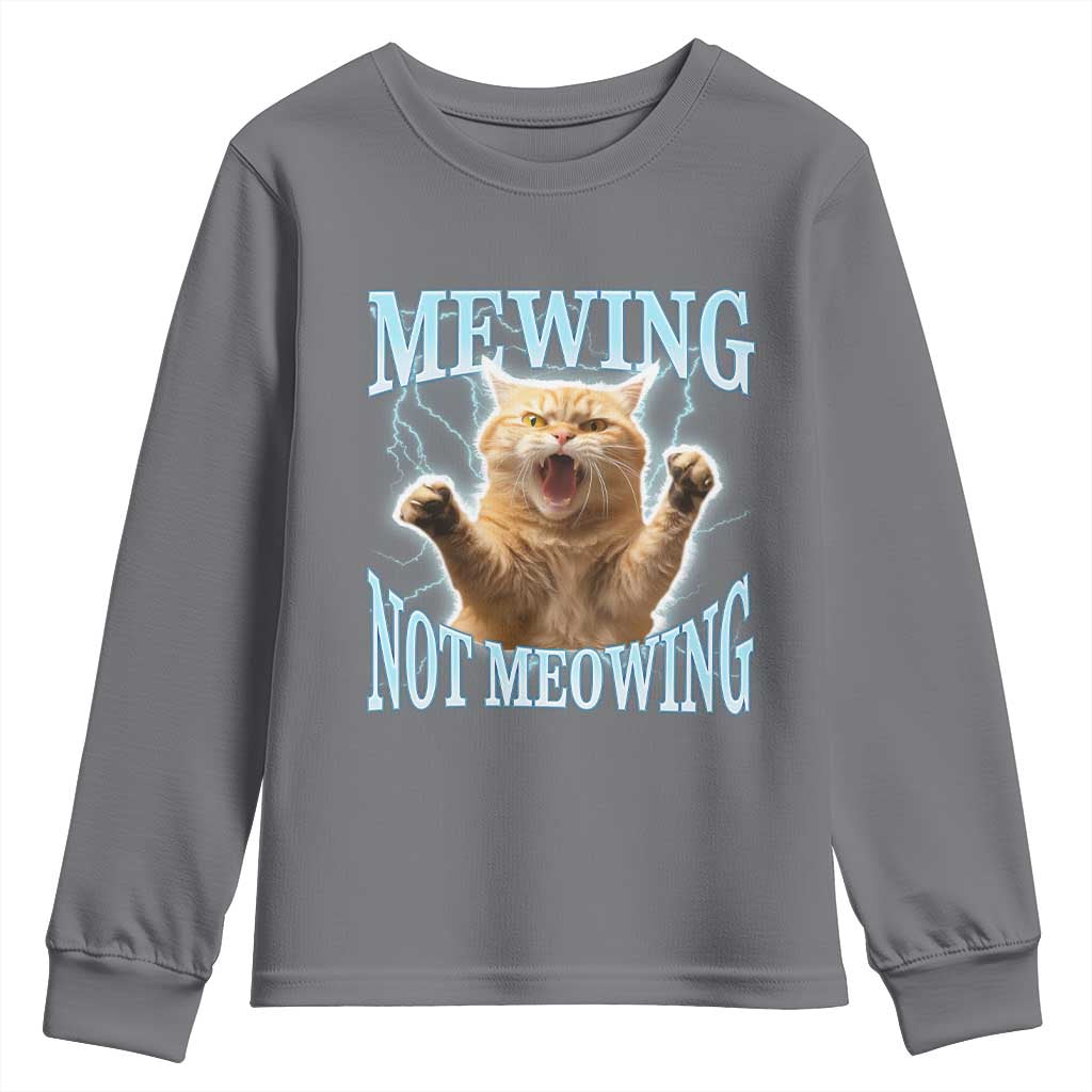 Funny Meme Cat Mewing Not Meowing Youth Sweatshirt TS09 Charcoal Print Your Wear