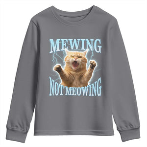 Funny Meme Cat Mewing Not Meowing Youth Sweatshirt TS09 Charcoal Print Your Wear