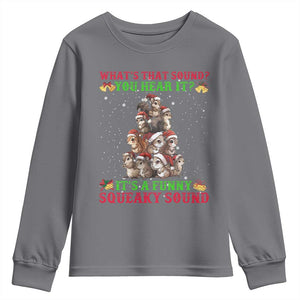 Squirrel Christmas Youth Sweatshirt It's A Funny Squeaky Sound TS09 Charcoal Print Your Wear