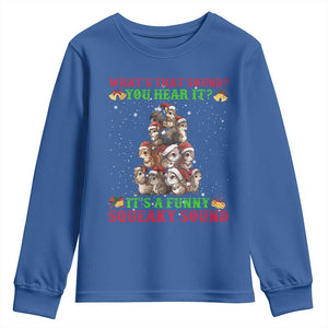 Squirrel Christmas Youth Sweatshirt It's A Funny Squeaky Sound TS09 Royal Blue Print Your Wear