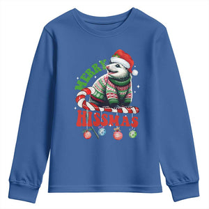 Funny Christmas Opossum Youth Sweatshirt Merry Hissmass TS09 Royal Blue Print Your Wear