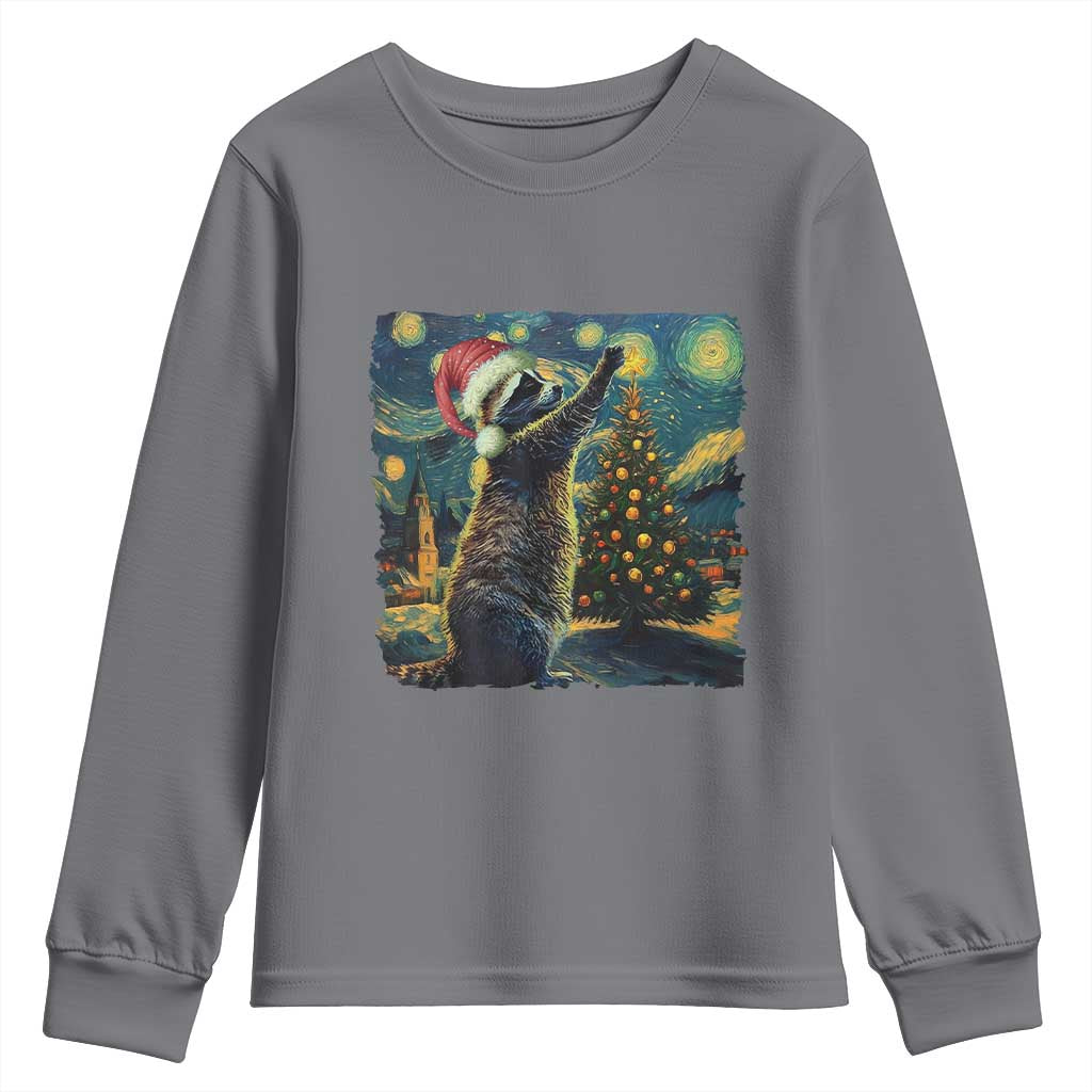 Christmas Starry Night Raccoon Youth Sweatshirt TS09 Charcoal Print Your Wear