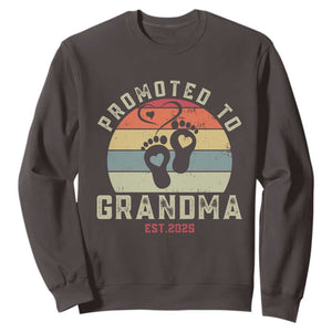 Retro Promoted To Grandma est 2025 Sweatshirt TS09 Dark Chocolate Print Your Wear