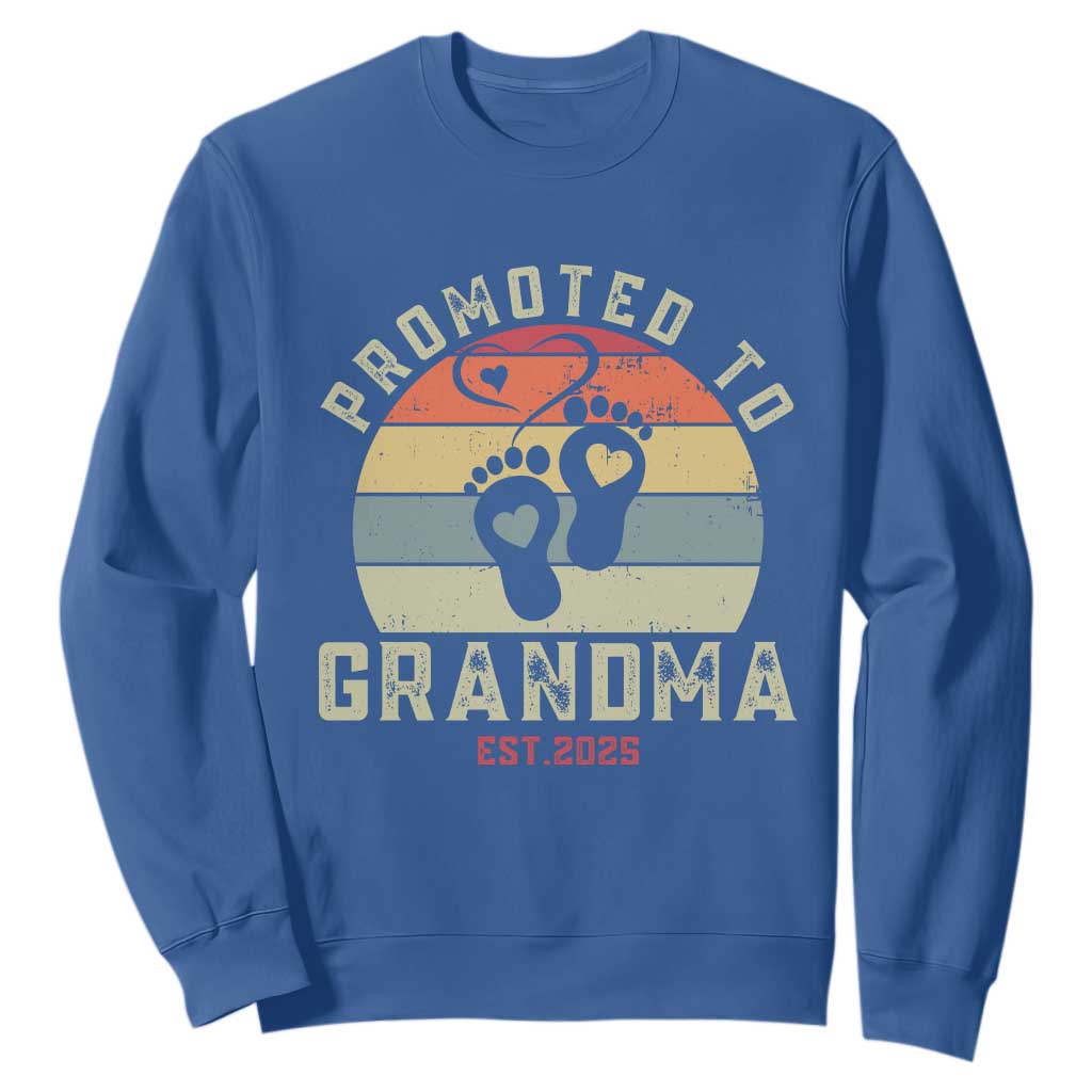 Retro Promoted To Grandma est 2025 Sweatshirt TS09 Royal Blue Print Your Wear