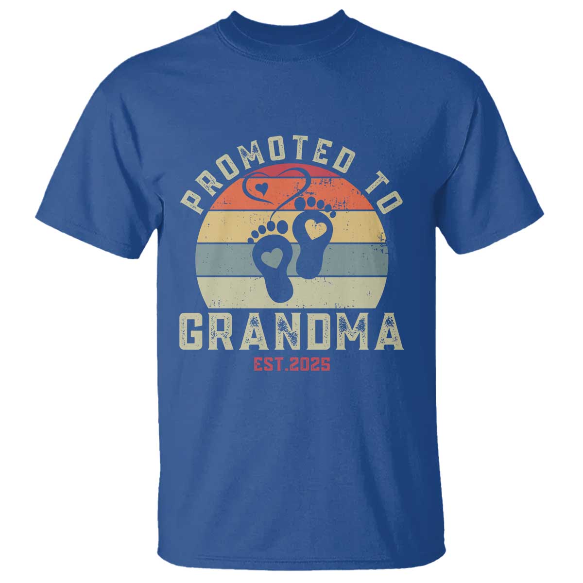 Retro Promoted To Grandma est 2025 T Shirt TS09 Royal Blue Print Your Wear
